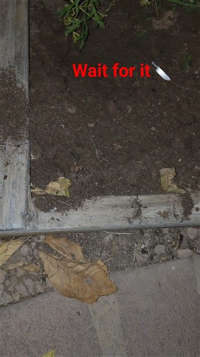 POV: You’re digging like a Mudvayne song 🤘🌱 #ASMR