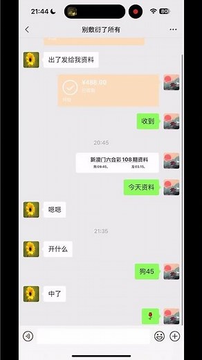 新澳门六合彩资料108期，晚上资料二肖四码，中狗45