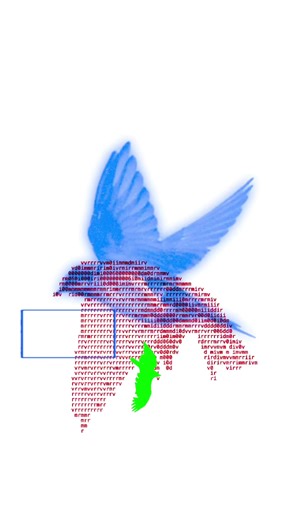 Unique Animation in 'Birds of a Feather' Video Art