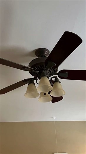 Ceiling Fan Slideshow #3
