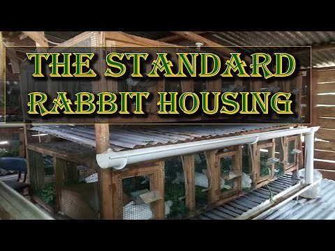 Standard Rabbit Housing - Animal Husbandry Uganda