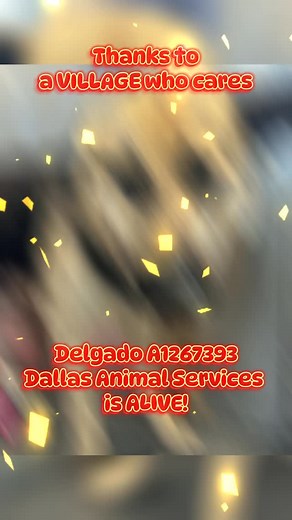 36 reactions · 26 comments | UPDATED INFORMATION: DELGADO IS NOW...