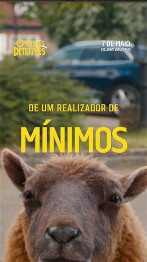 "As Ovelhas Detetives" | 7 de maio (Flock Kids 15 - VP) (Sony Pictures Portugal)