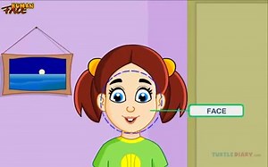 15 reactions · 29 shares | Human Face - Science Lesson for Preschoolers by Turtlediary.com | TurtleDiary | Facebook
