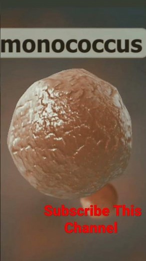 Types of Bacteria, Shapes of bacteria 3D Animation