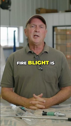 Eradicate Fire Blight with Natural Ingredients #regenerativefarming #soilhealth