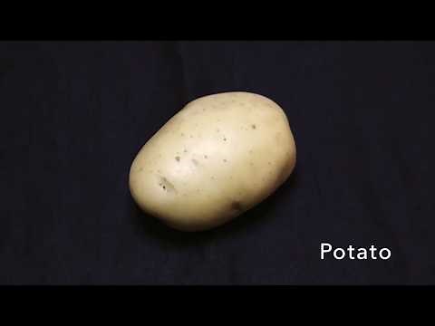 Potato Printing