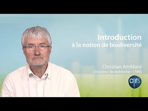 Introduction à la notion de biodiversité