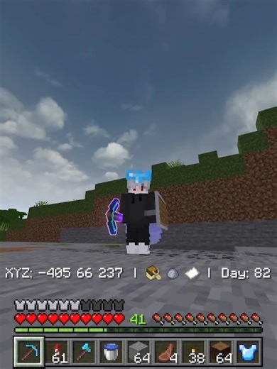 Storage Room Design in Survival Mode