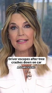 134K views · 884 reactions | Video shows the moment a massive tree came crashing down on a car. The driver is seen walking away seemingly unharmed. | Today Show | Facebook