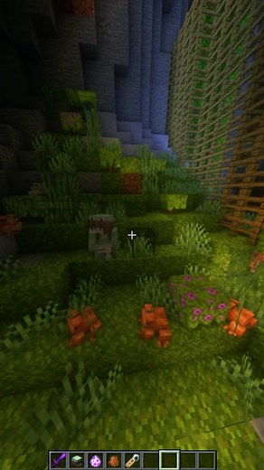 Frog Quest Adventure in Minecraft with Ash