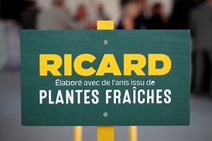 En Direct des Marchés :  Pernod Ricard, Commerzbank, Schneider, Galderma, Nvidia, Saipem, BYD...