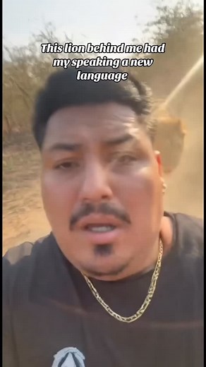 54 reactions | This lion behind me had my speaking a new language #afambobie #fyp #viral #comedy #funny | Edwin Afambobie Gutierrez | Facebook