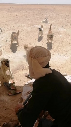 ‏ياهو البطل الي يجينه 😜😜