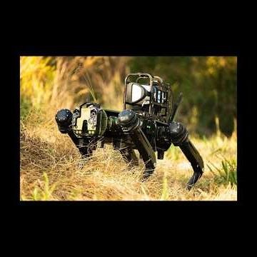 Machine Learning for Perception