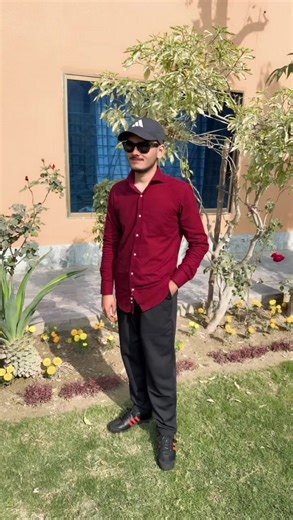 alawal9 (@alawal9)’s videos with original sound - The Pet magic 🎩 ✨️