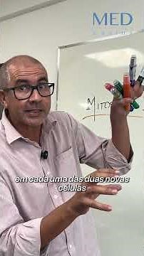 Mitose e meiose caem em toda prova de biologia. 🧬