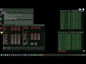 CAT C2 L4 SHOWCASE | BEST C2/BOTNET/API 2025 (.gg/catc2)