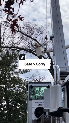Be safe now rather than sorry later🌲 If you’ve got a tree you’re unsure about, don’t wait until it becomes a problem. Call 610-660-TREE and let our team handle it safely and professionally. #pennsylvania #kingkinertreeservice #trending #foryoupage #safetyfirst