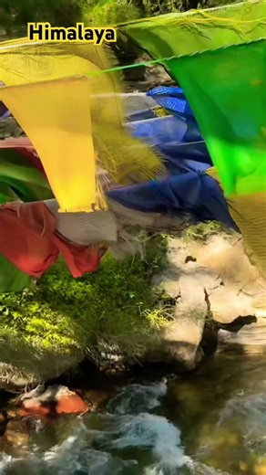 Himalaya #india #travel #nature #viral #youtubeshorts YouTube feeds #shotsvideo
