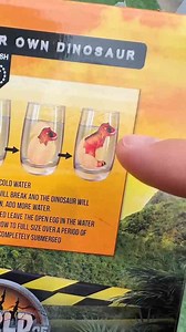 The T-Rex egg experiment everyone wanted to see