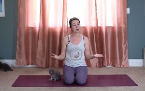 Kassandra | 10 min Morning Yoga Stretch with KITTENS