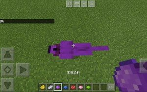 如何召唤彩色的狗