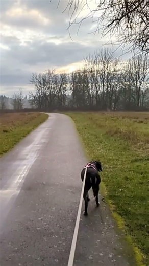 Walking the Field-Side Trail at Champoeg