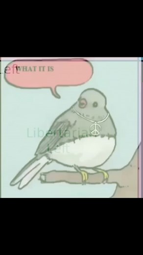 The Political Compass on Instagram: "It ain’t me . . . #politicalcompass #minecraft #gamers #politigram #ancaps #ancom #democrats #republicans #bipartisan #dankememes #vietnamflashback #pingu #capitalism #demsoc #communist #socdem #democracy #libertarianmemes #libertarian #polititok #2a #420 #vapenaysh #h3 #target #rooftopkorean #antimask #rona #teddyk #quarantinesucks"