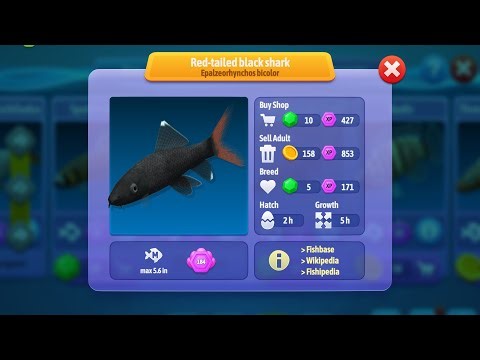 All Freshwater creatures from Fish Farm 4: 3D Aquarium update