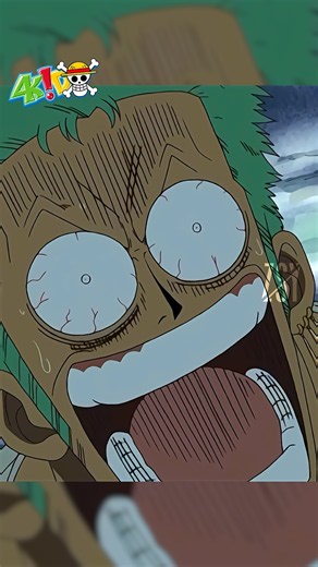 The Old One Piece 4Kids Dub Was PEAK 🤣