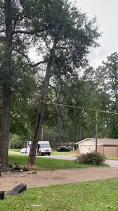 532K views · 162 reactions | A man attempted to remove a dying tree by tying it to a car and pulling it down, believing he had enough experience. The plan failed disastrously when the tree fell unpredictably, causing damage and panic. The incident echoed broader concerns about unsafe tree removal methods. | Jukin Copyright Management | Facebook