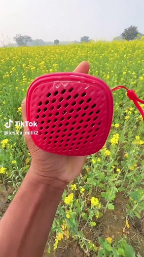 JBL Speaker Durability Test: Sound Quality and Resilience