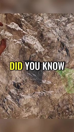 Exploring Via Ferrata in the Italian Alps During WW1