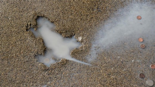 Chicago's viral 'rat hole' wasn't created by a rat, new study suggests