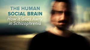 VIDEO: The Human Social Brain: How It Works and How It Goes Awry in Schizophrenia and the General Population