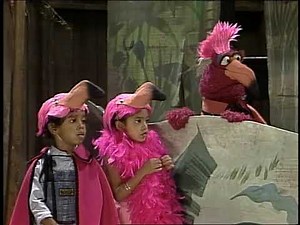 Classic Sesame Street - Placido Flamingo Sings The Flamingo Song 1985