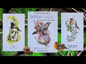🦝 L'oracle des animaux de la forêt boréale de Siolo Thompson & tirage 🦝