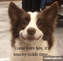 Tickle time on Make a GIF
