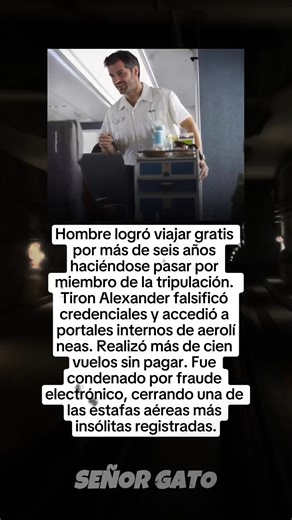 #datos #datoscuriosos #terror #historias #fypシ゚viralシ | Señor gato