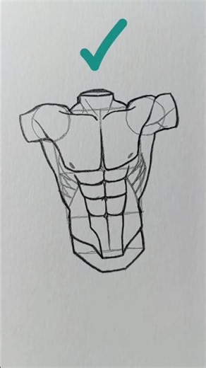 How to Draw the Front Torso Step by Step | Beginner Drawing Tutorial
