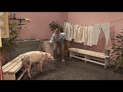 Vivir del Cuento FELIZ 2019 (31 Diciembre 2018)