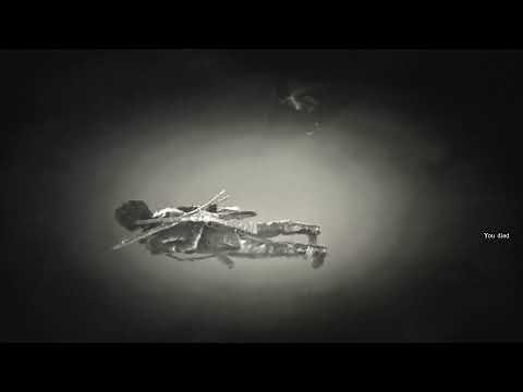 cartel execution (graphic)