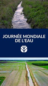 1.9K views · 11 reactions | #Journée mondiale de l'eau 2025 : Il s'agit de préserver les glaciers !  Les glaciers sont notre ligne de vie hydrique - leur eau de fonte est essentielle pour l'eau potable, l'agriculture, l'industrie, la production d'énergie propre et les écosystèmes sains. | New Holland Agriculture | Facebook