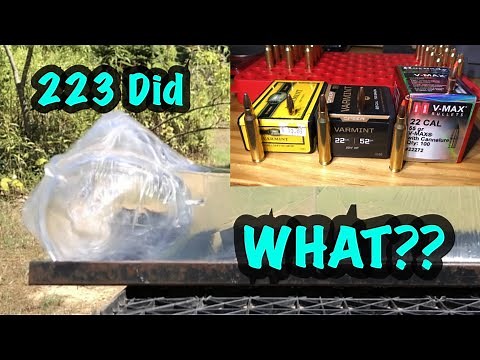 What Happens When a Bullet Strikes a Soft Target-223 Varmint Projectile Comparison in Ballistics Gel