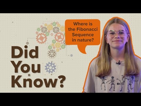 Did You Know? Fibonacci Sequence in Nature