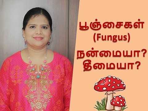 Introduction to Fungus in Tamil