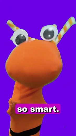 Velma Is The Orange One With Glasses, Right? I think we got a great Velma clip for you! #shorts