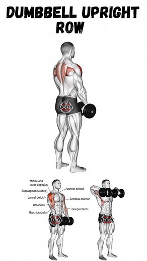Dumbbell Upright Row: Ultimate Shoulders Workout
