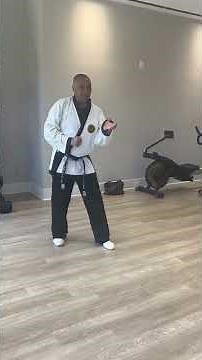 Classic Taekwondo Patterns. Ko Dang